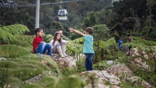 PARQUE ARVÍ, 10 AÑOS TRABAJANDO POR LA SOSTENIBILIDAD