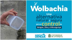 Eliminar el dengue, un desafío de todos