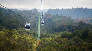 EL METRO SE REAFIRMA COMO UN SISTEMA AMIGABLE CON EL MEDIO AMBIENTE