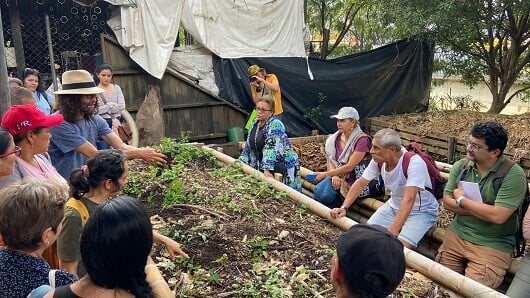 En el Metro de la 80 avanzamos con el taller de viveros comunitarios de árboles, arbustos, palmas y jardines