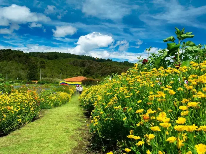 Diversas exposiciones de fauna y flora